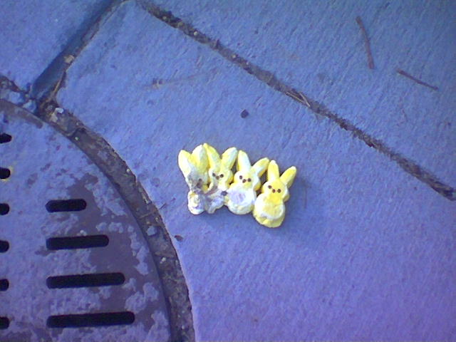 image of peeps on ground