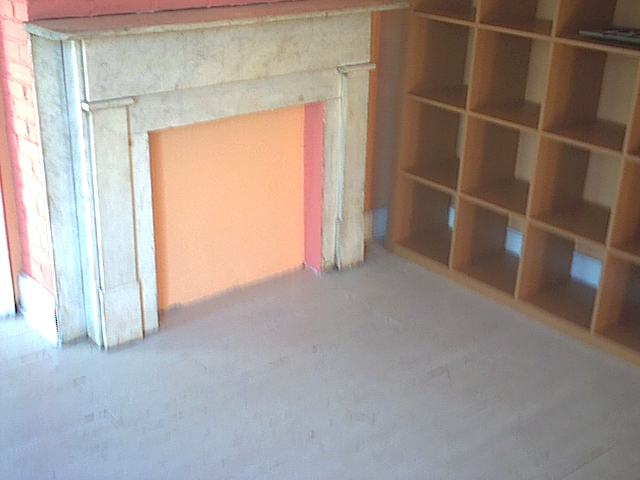 salmon room fireplace and bookshelf